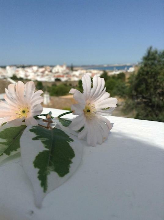 Appartamento Casaduarte "Balcony" Lagos Esterno foto